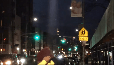 still from the video Monument to the Self, 2017