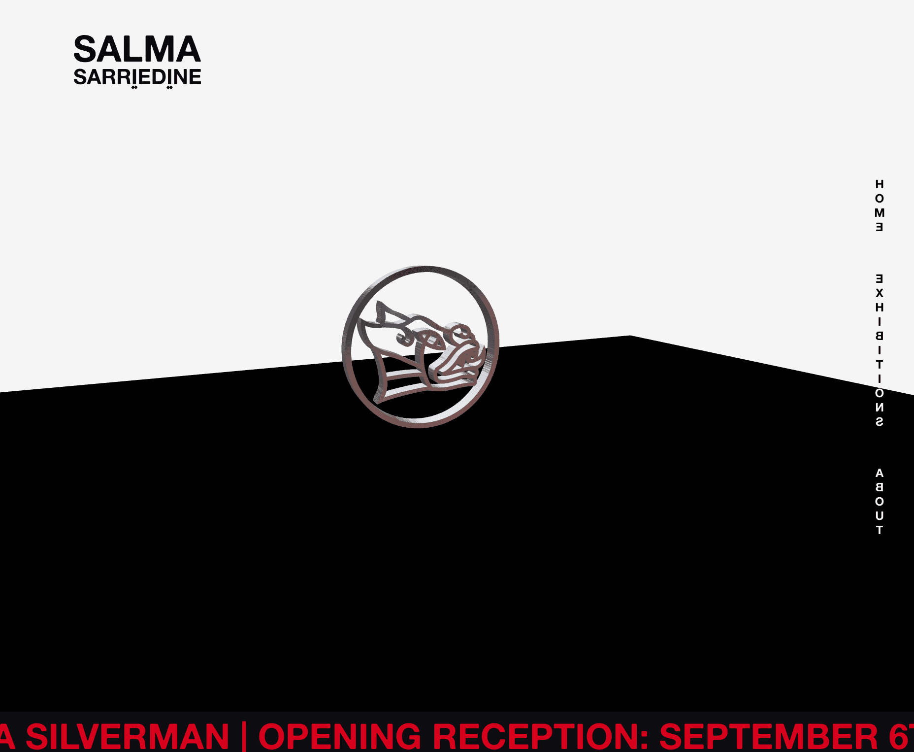 homepage for salma sarriedine