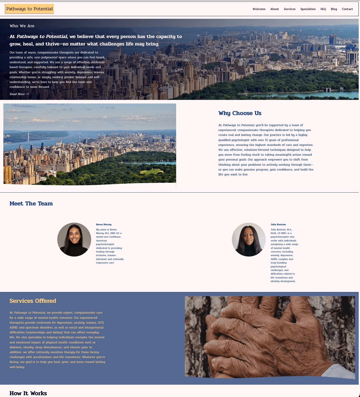 Home page view for the website Pathways to Potential